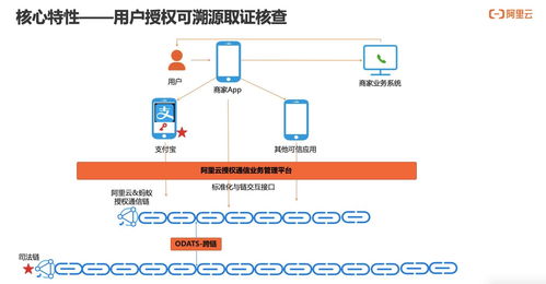 構建可信、可知、可追溯的用戶通信授權服務 技術深度解讀